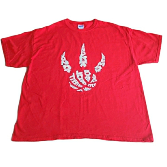 Gildan Other - 🏀 Raptors t-shirt